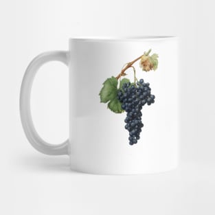 vintage grapes print Mug